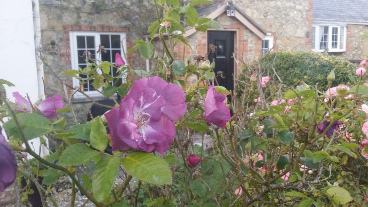 Kingsmede Bed & Breakfast Ventnor Exterior foto